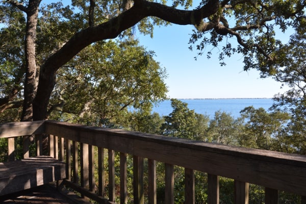 Naval Live Oaks Nature Preserve