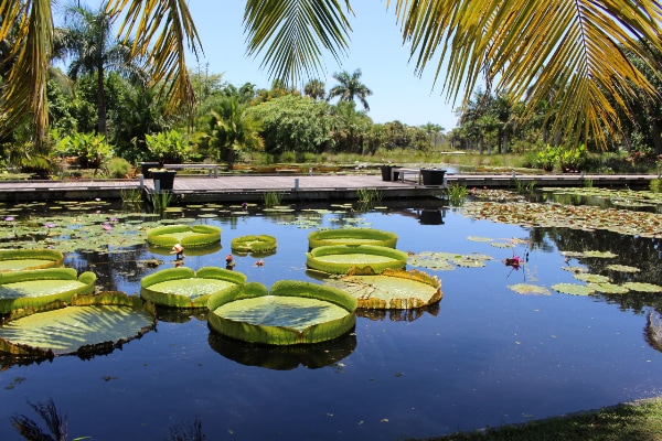 Naples Botanical Gardens